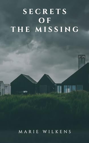 Secrets of the Missing book cover