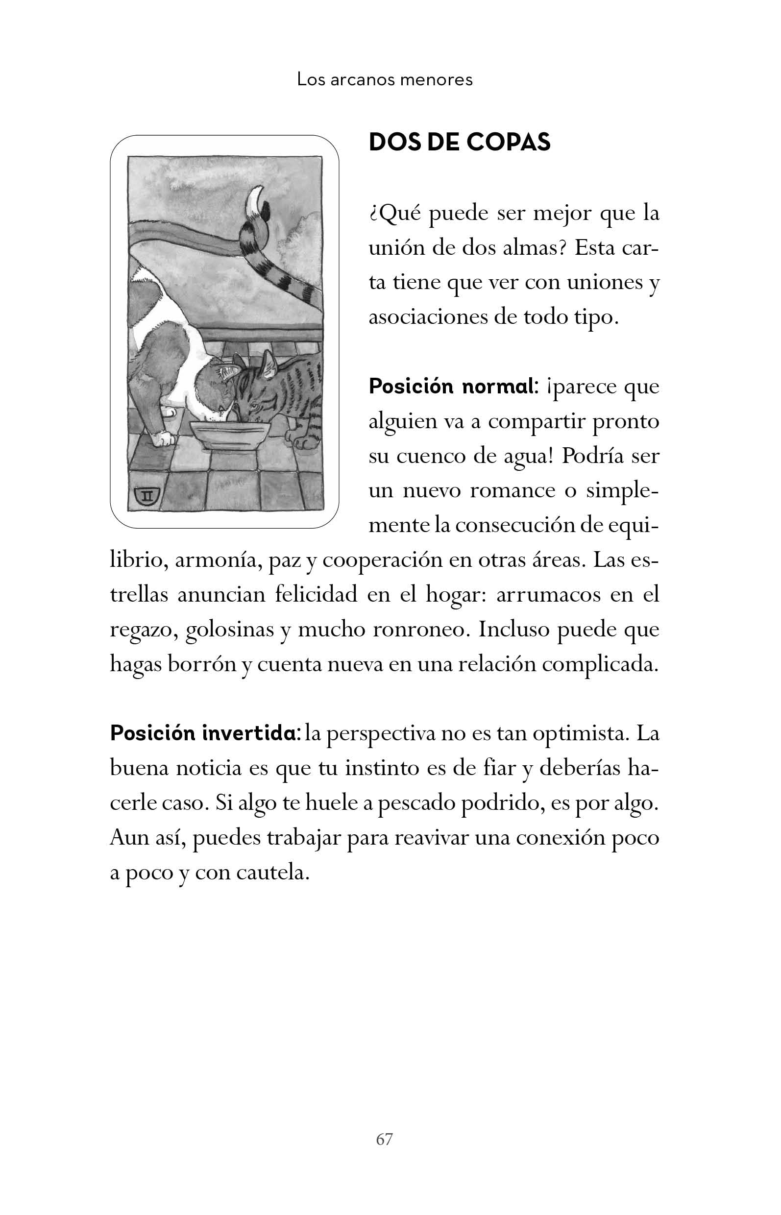 EL TAROT DE LOS GATOS: Estuche libro + cartas