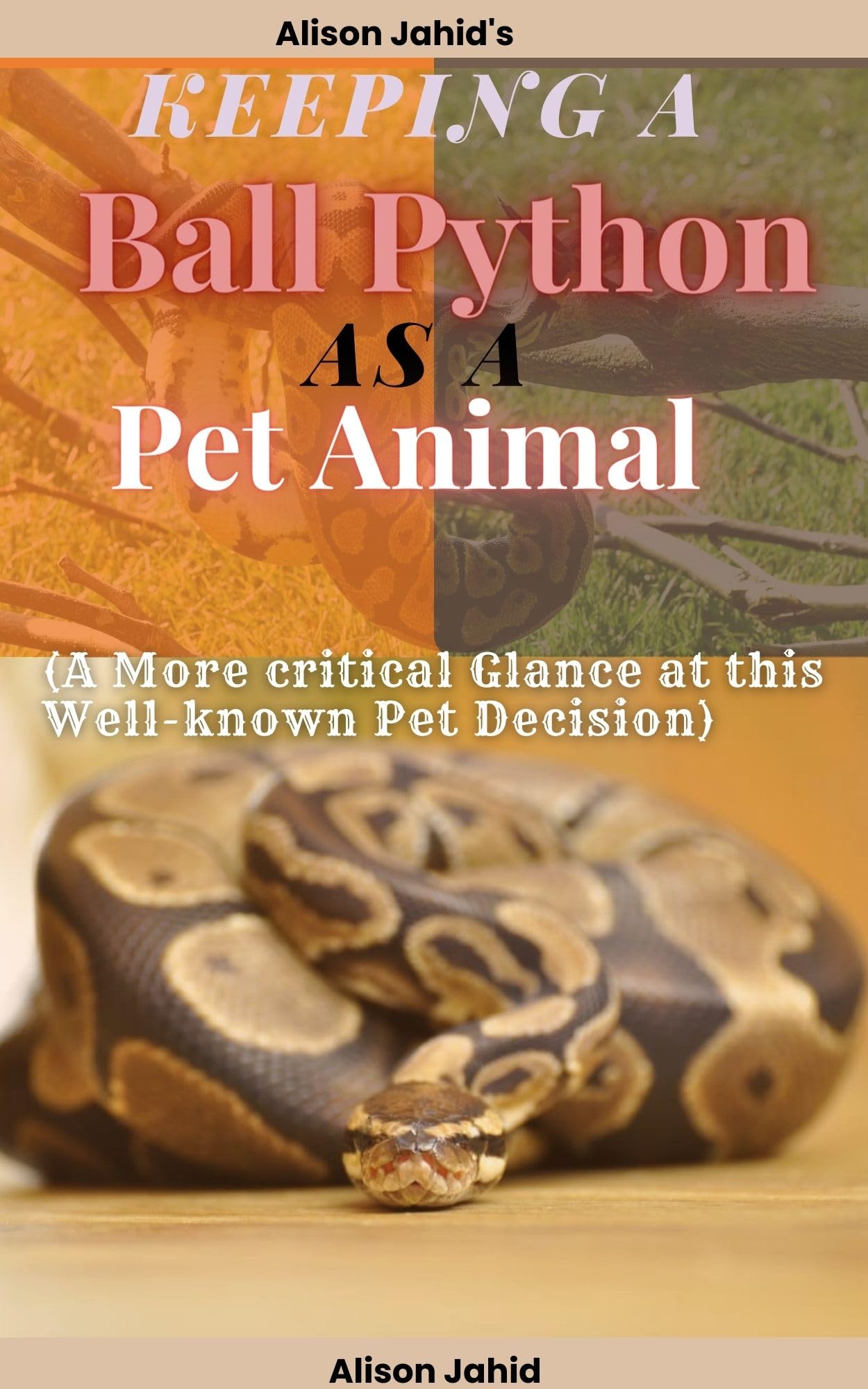Keeping a Ball Python as a Pet Animal A More critical Glance at this