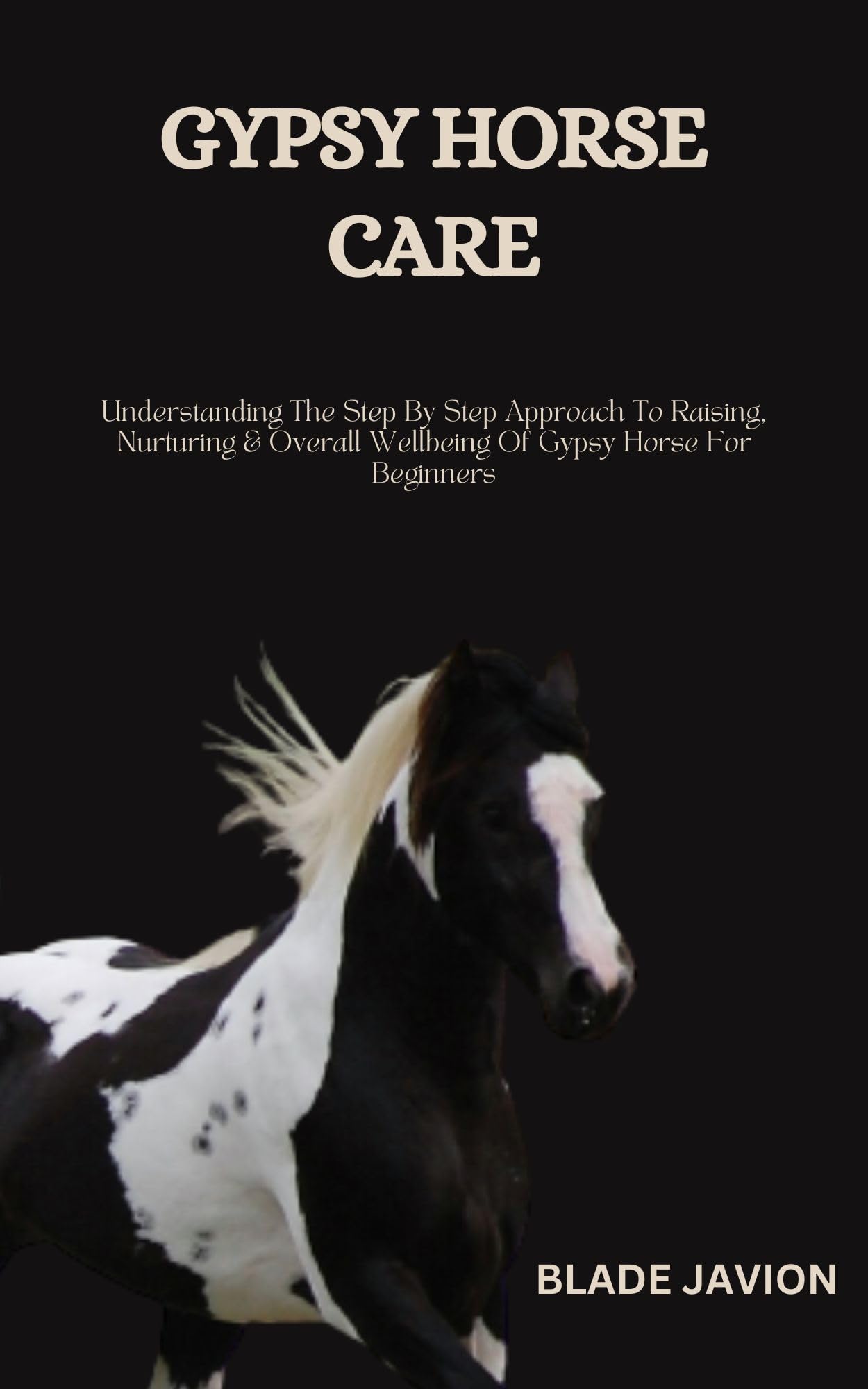 GYPSY HORSE CARE Understanding The Step By Step Approach To Raising