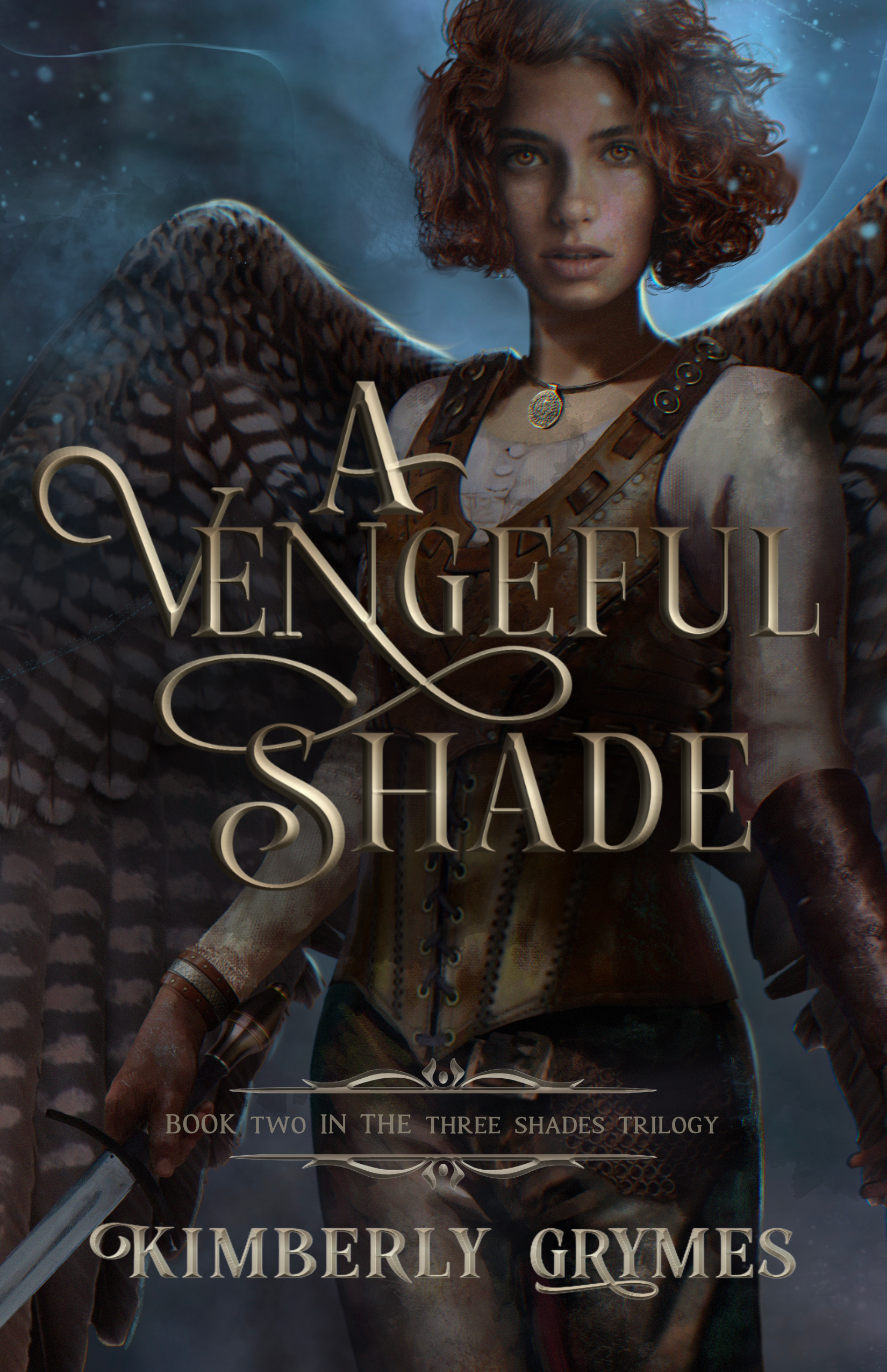 A Vengeful Shade book cover
