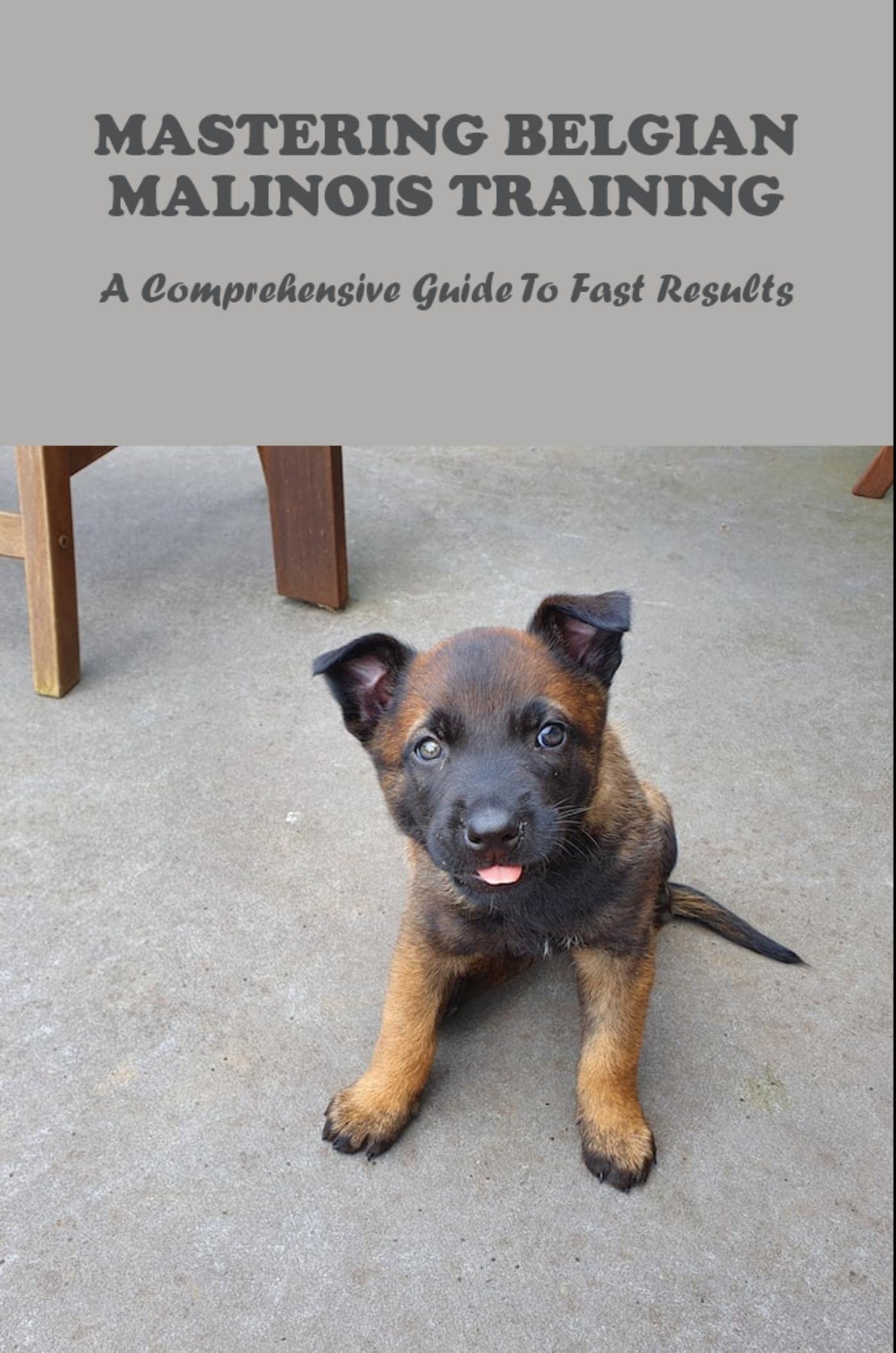Mastering The Pronunciation Of Malinois: A Comprehensive Guide – XVIBJX