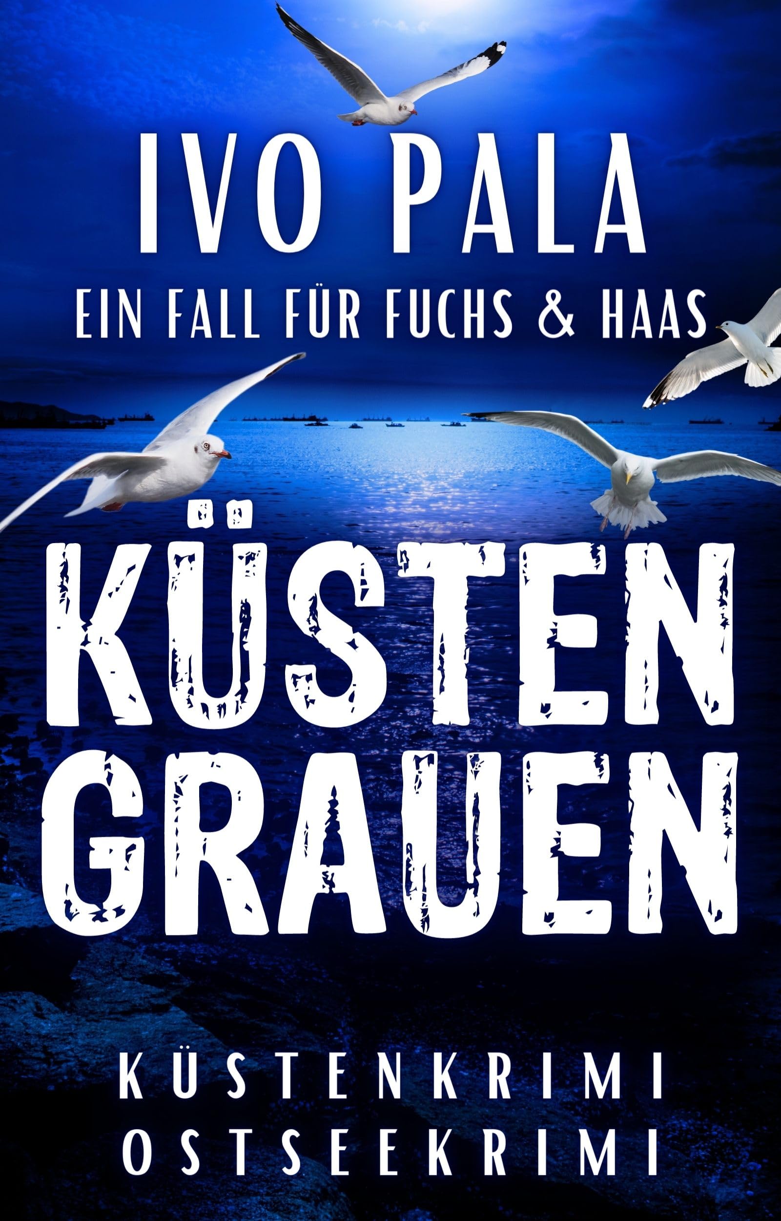 Ein Fall für Fuchs & Haas: Küstengrauen - Küstenkrimi - Ostseekrimi