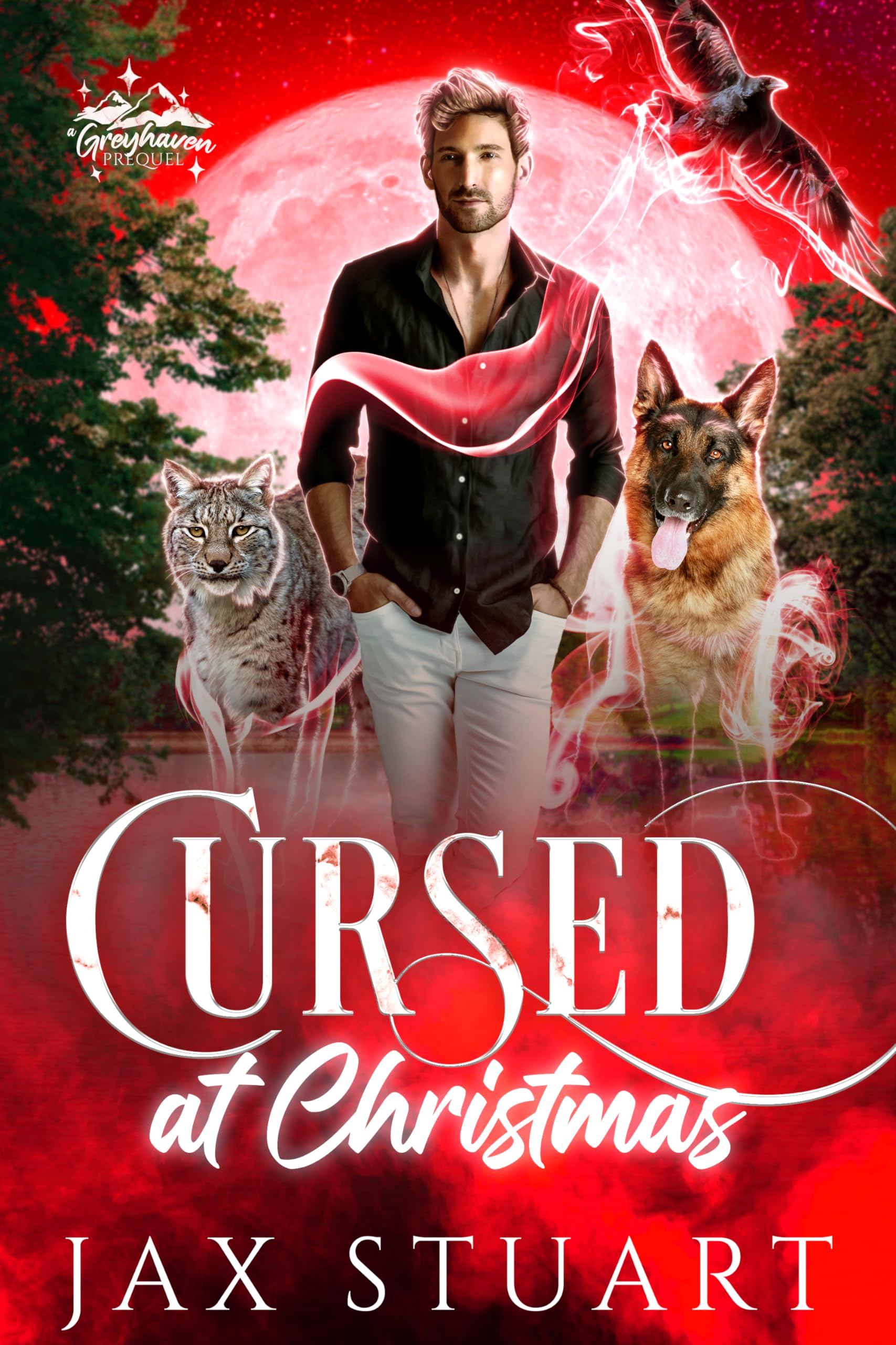 Cursed at Christmas