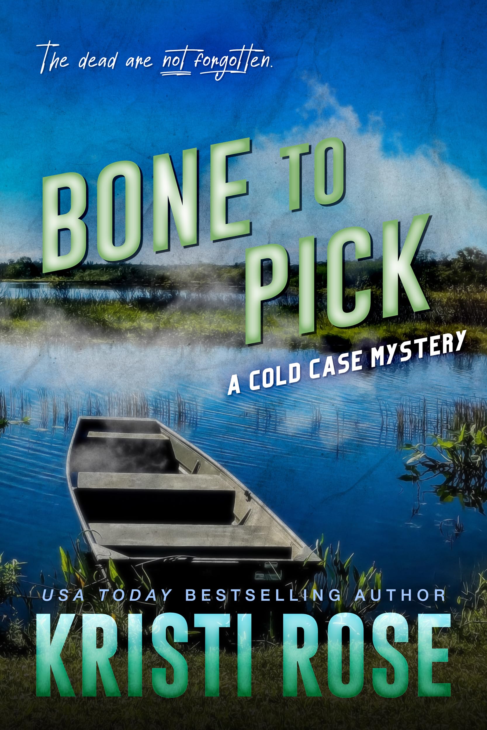 A Cold Case Mystery book cover 2
