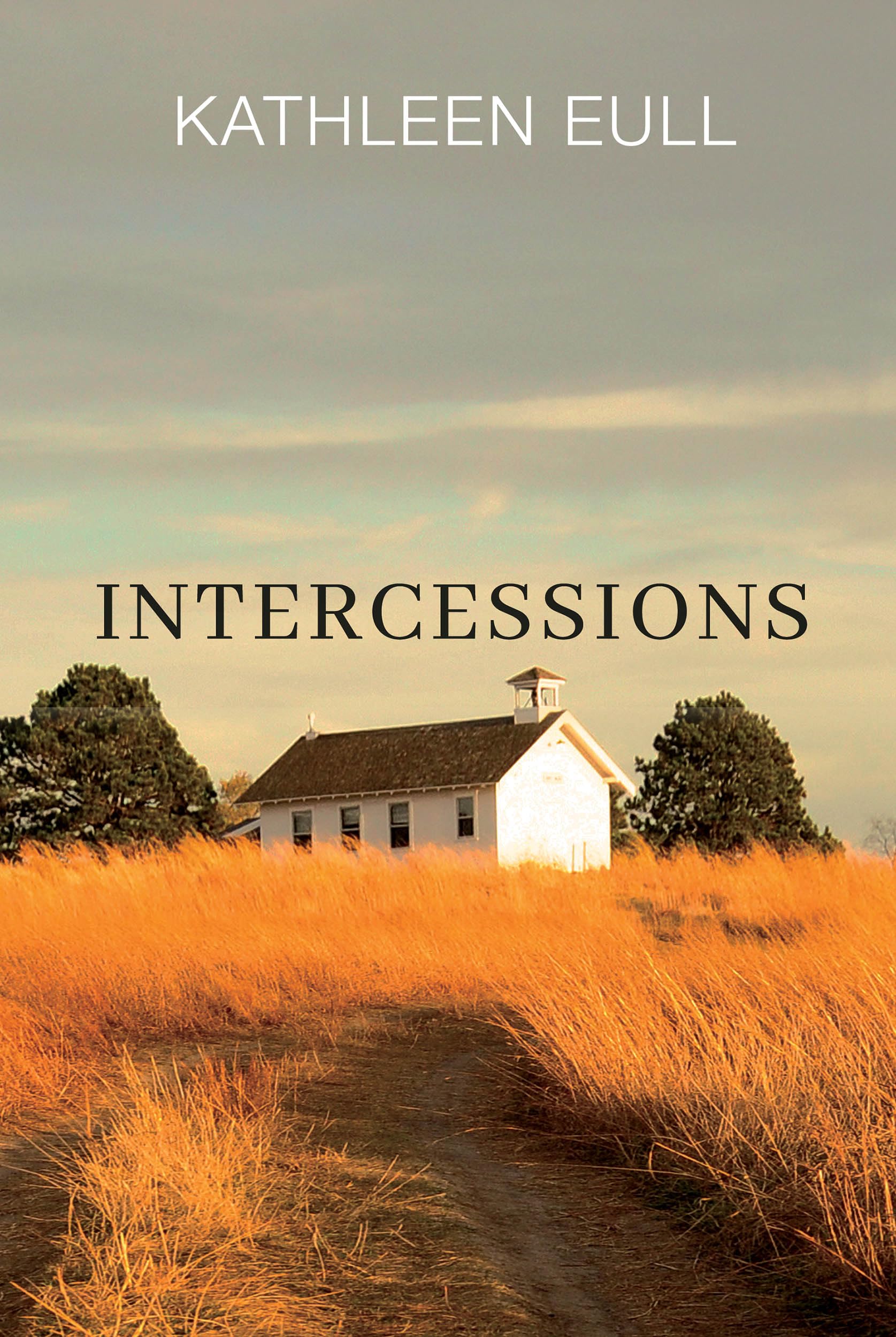 Intercessions: A Novel