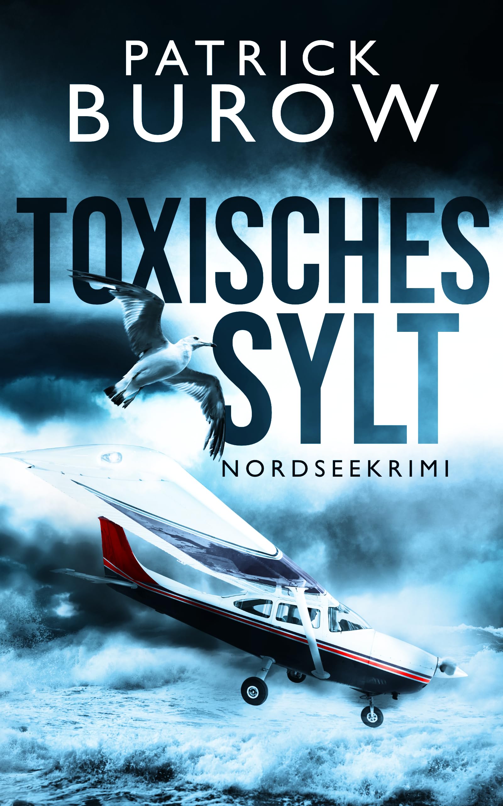 Toxisches Sylt: Nordseekrimi (Hansen & Norden ermitteln 2)