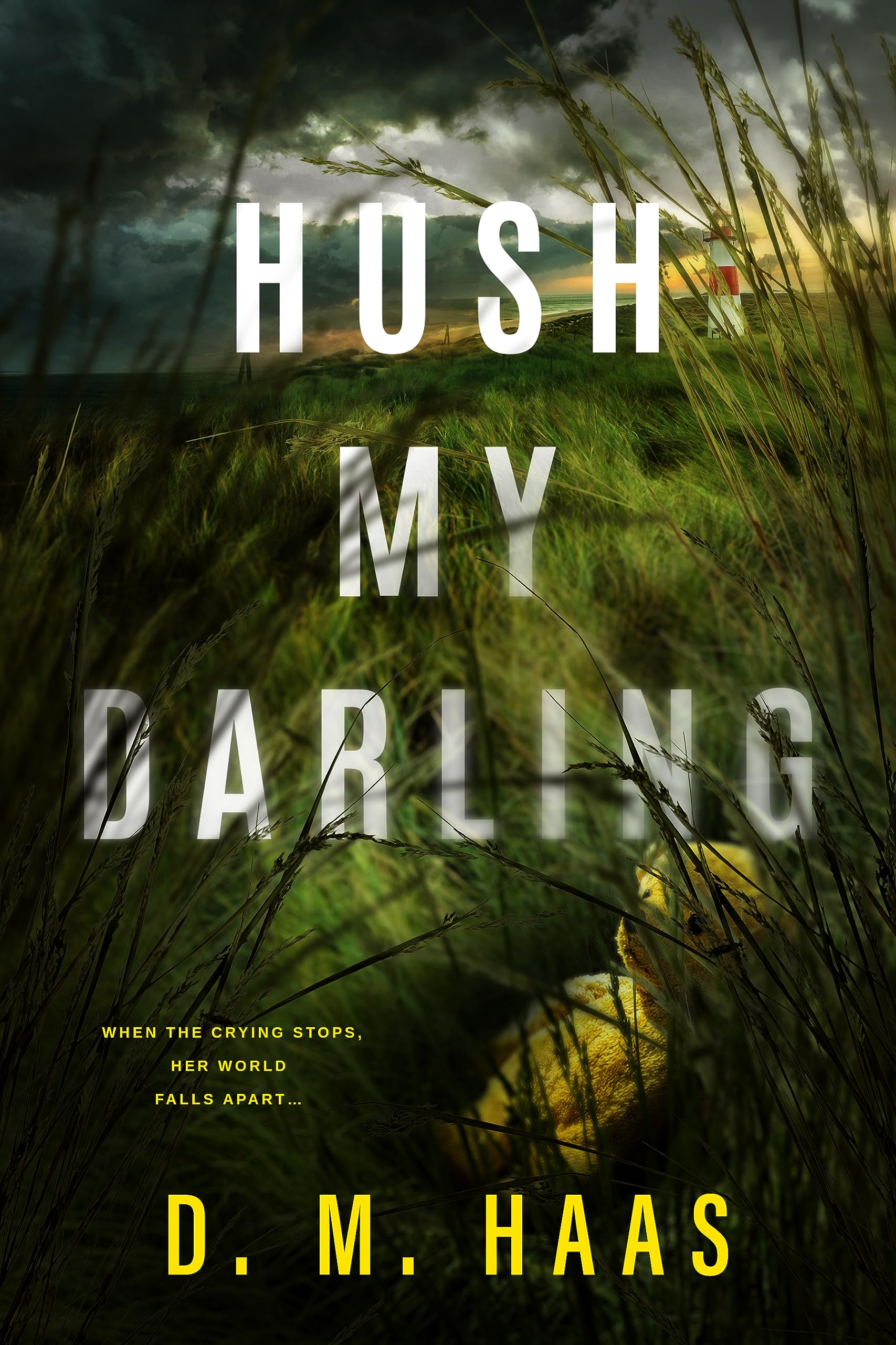 Hush My Darling book cover