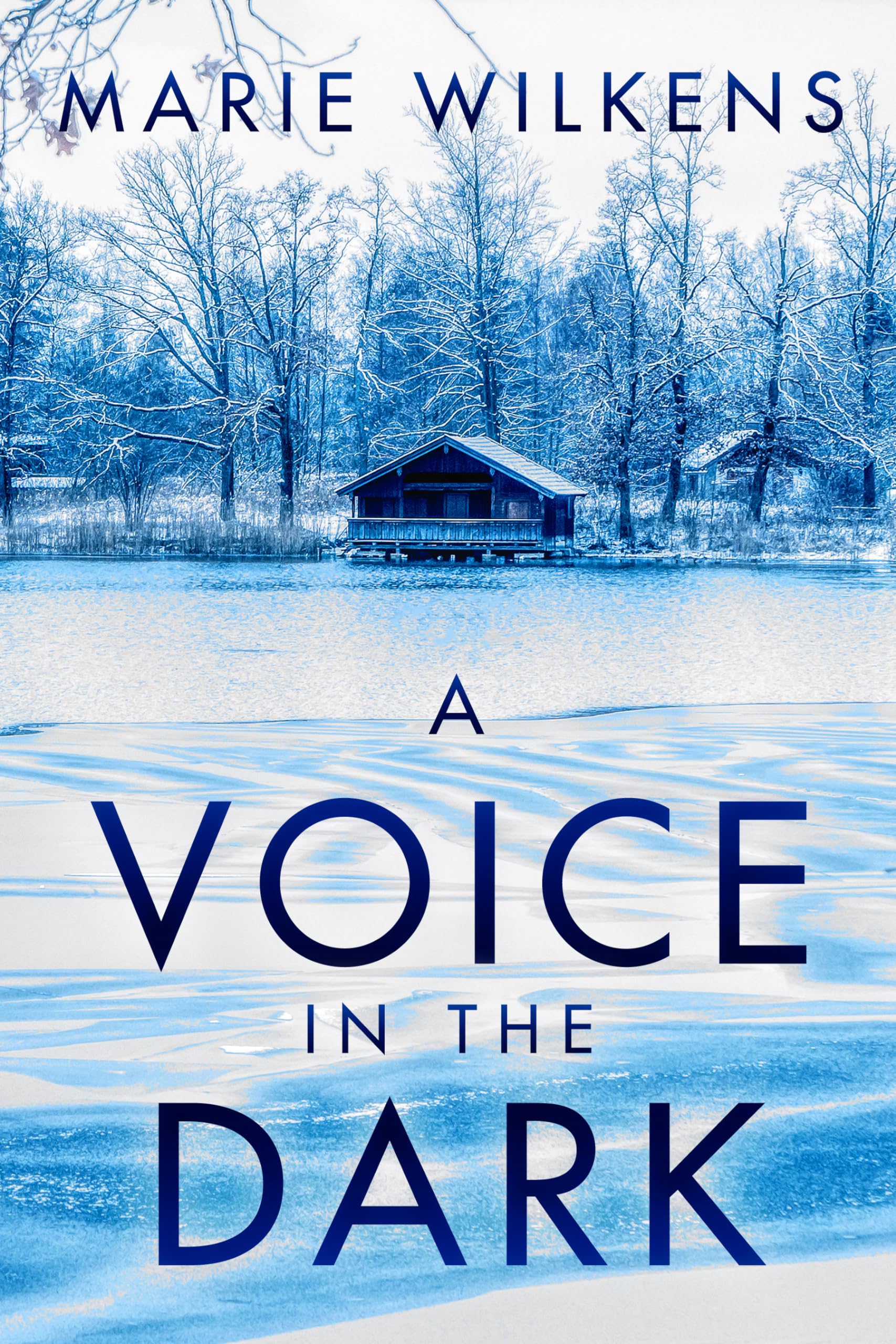 A Voice in the Dark