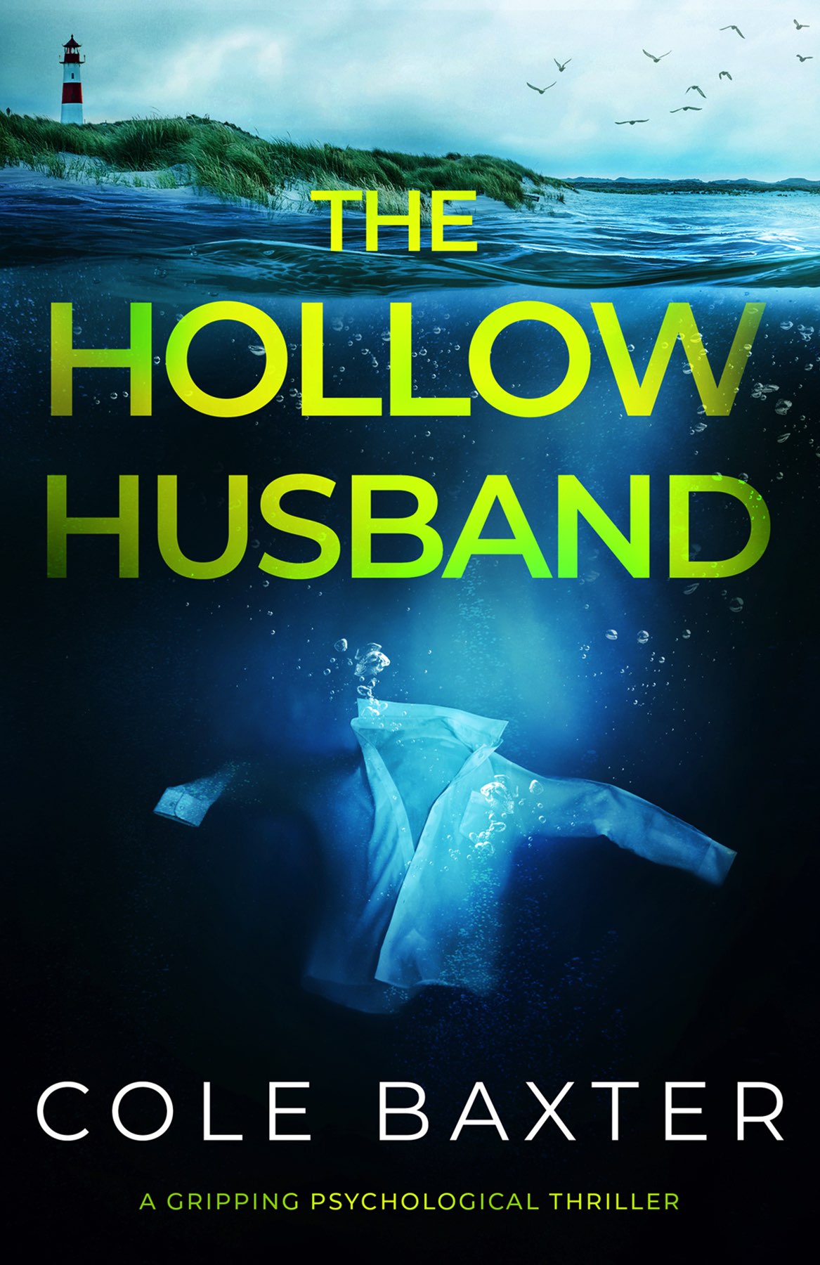 The Hollow Husband book cover