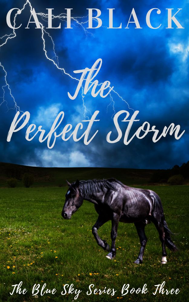The Perfect Storm