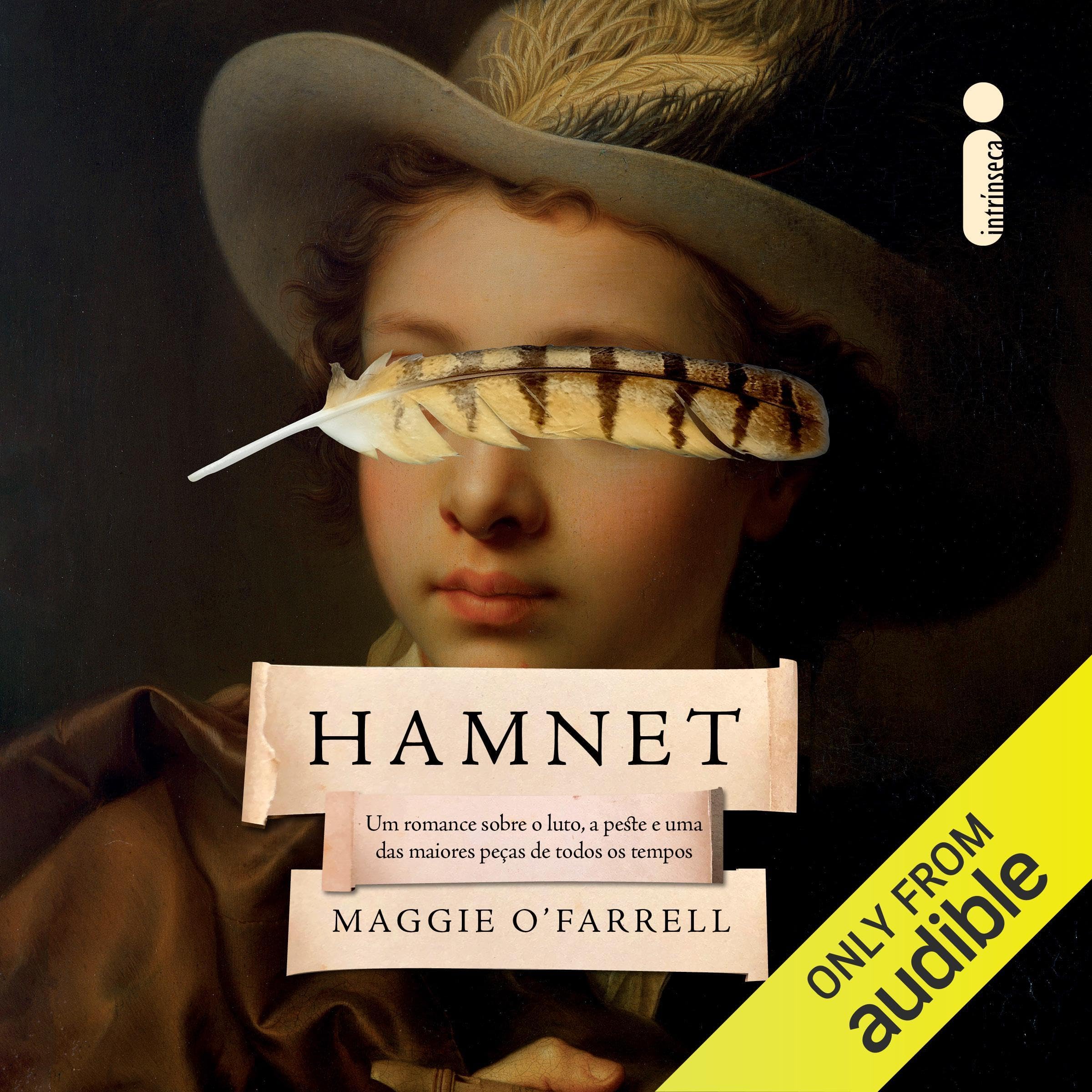 IS HAMNET A GOOD BOOK intelligence overview