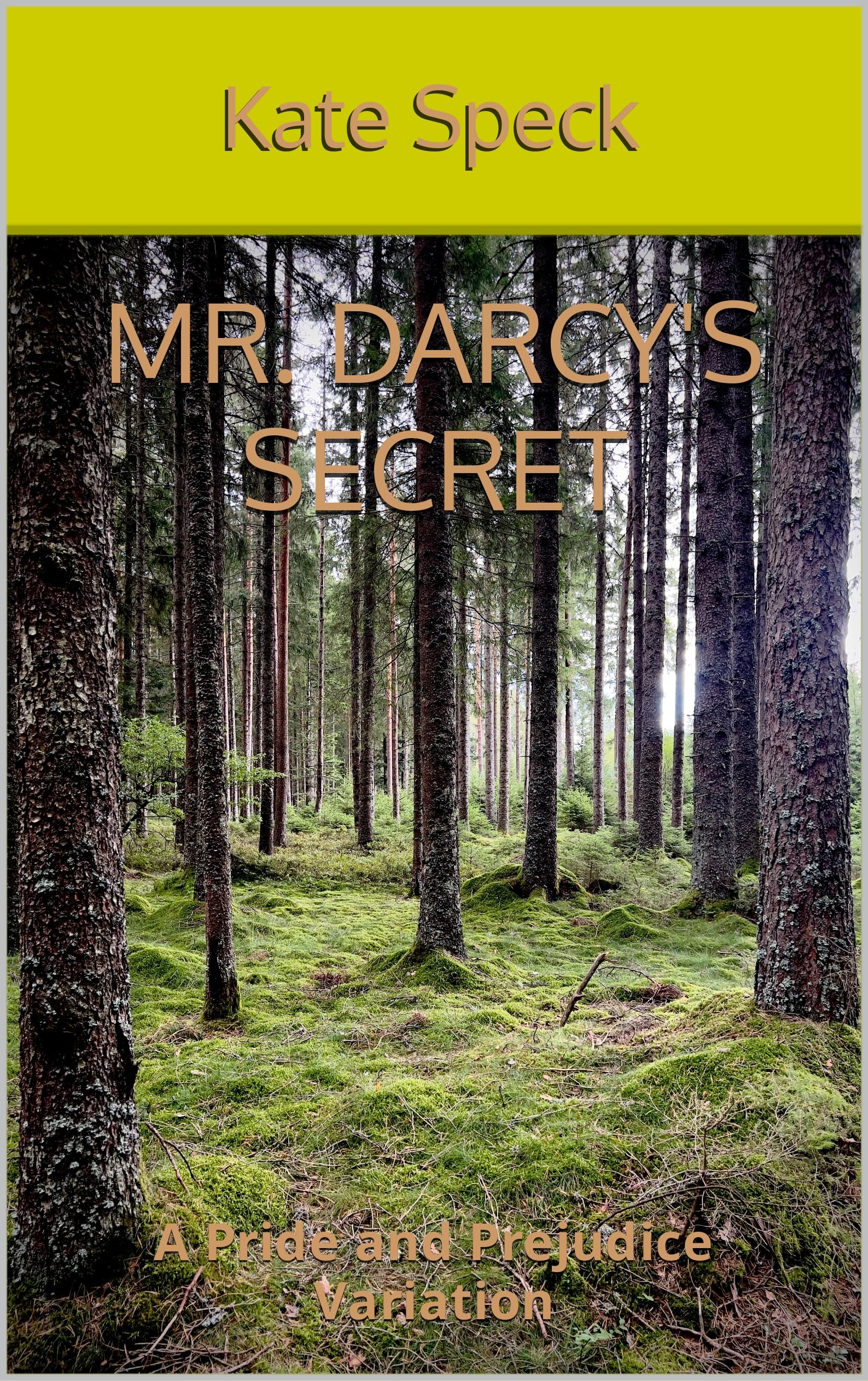 Mr. Darcy's Secret: A Pride and Prejudice Variation