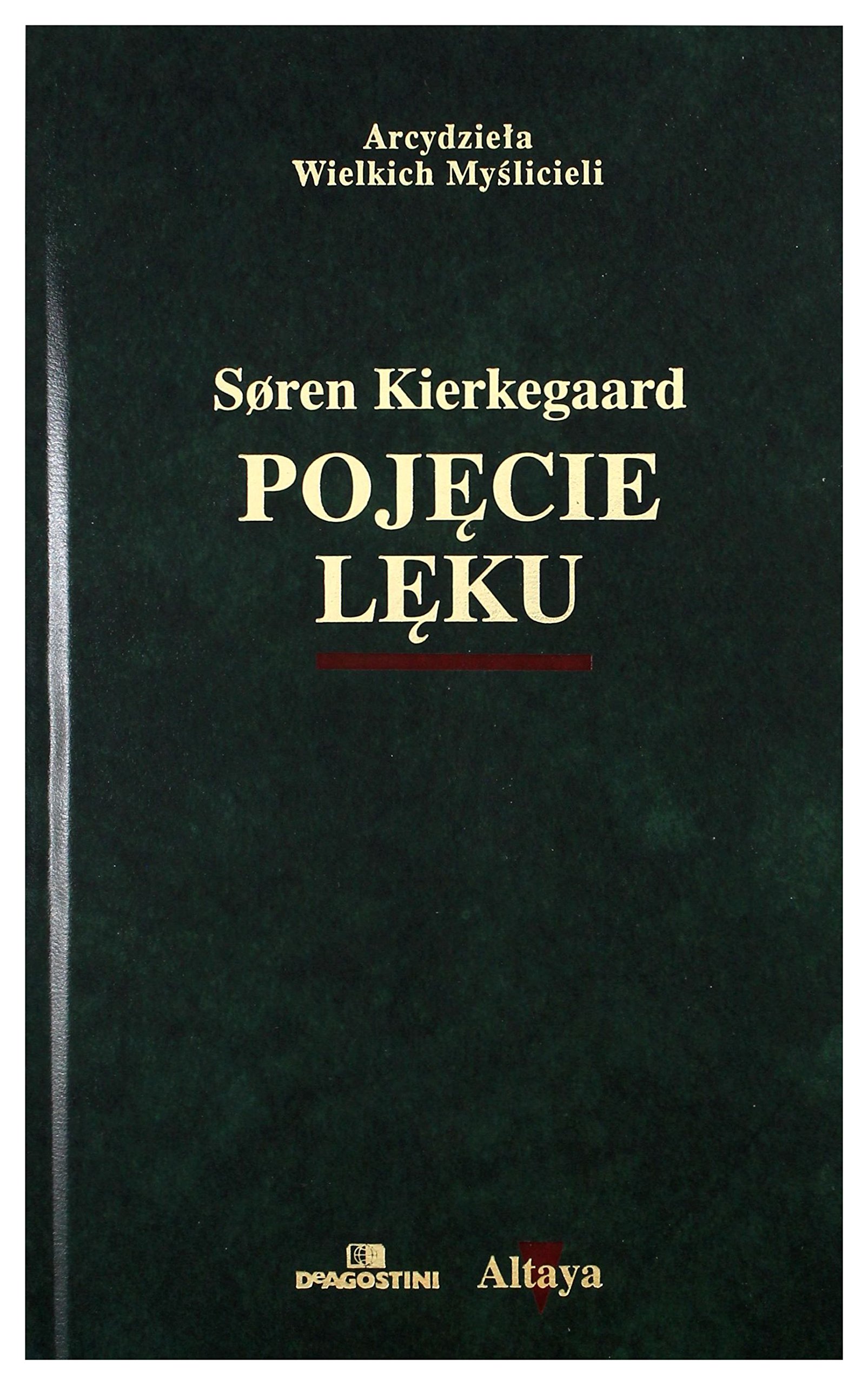 Pojecie leku book cover