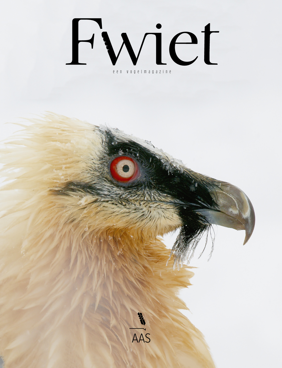 Fwiet #6: Aas