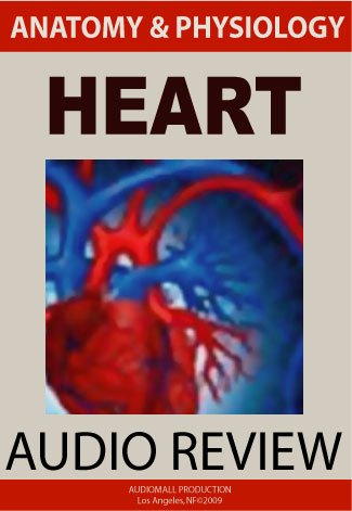 HEART ANATOMY AND PHYSIOLOGY BOOK visual data 4