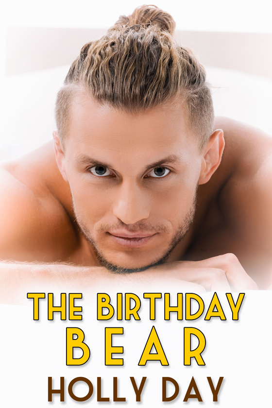 The Birthday Bear book cover