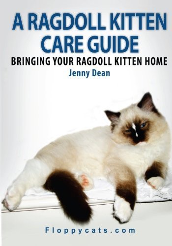 A Ragdoll Kitten Care Guide: Bringing Your Ragdoll Kitten Home by Jenny