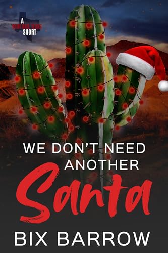 We Don't Need Another Santa book cover