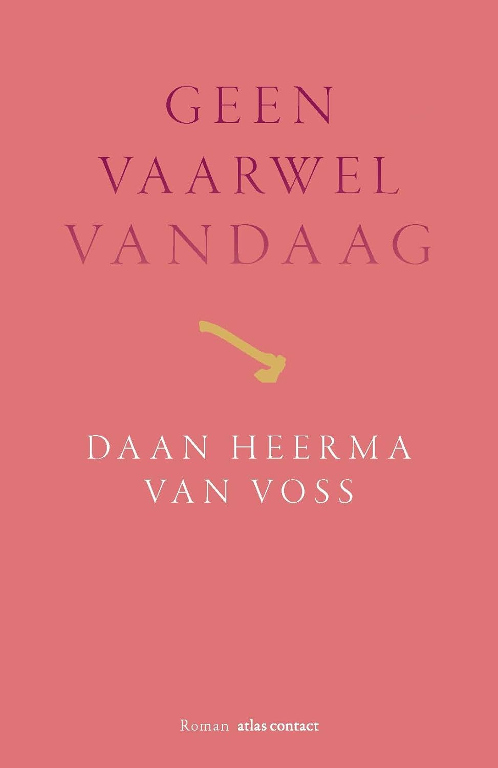 Geen vaarwel vandaag book cover