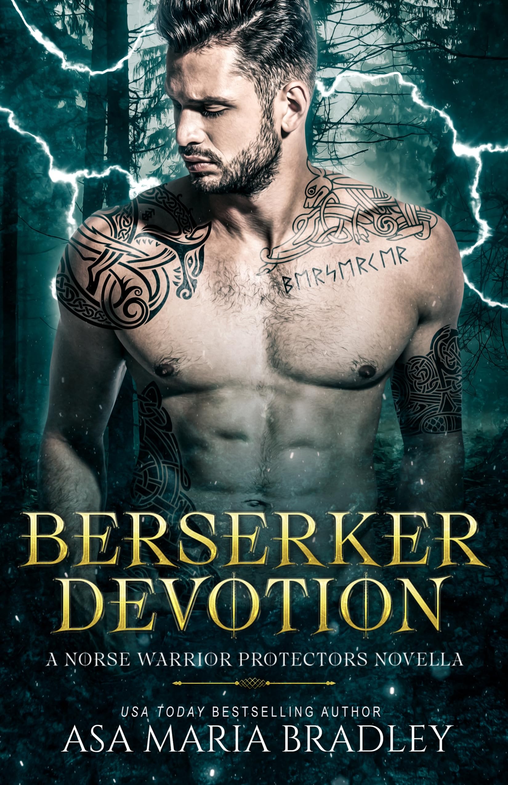 Berserker Devotion book cover