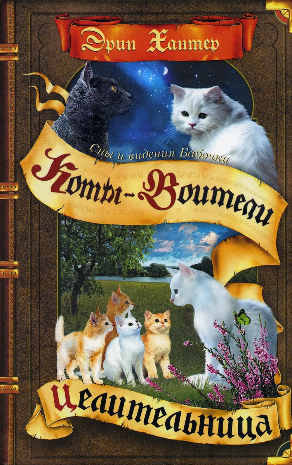 Целительница book cover