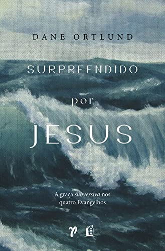 surpreendido por jesus a graca subversiva nos quatro evangelhos Ed. 2023