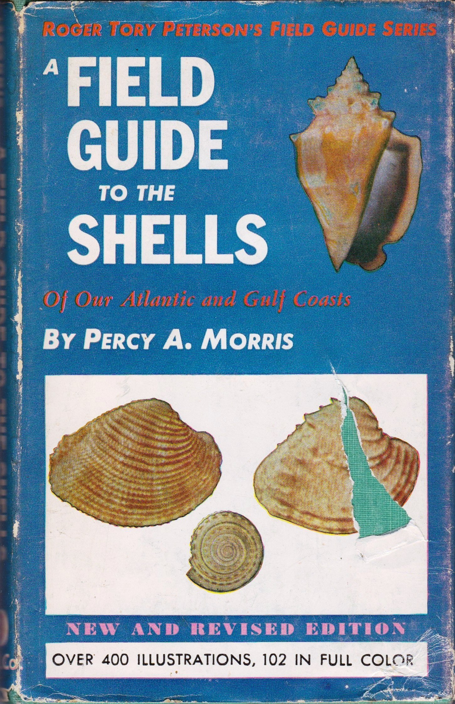 A Field guide to the Shells book cover