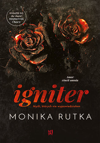 Igniter. Myśli, ktorych nie wypowiedziałem