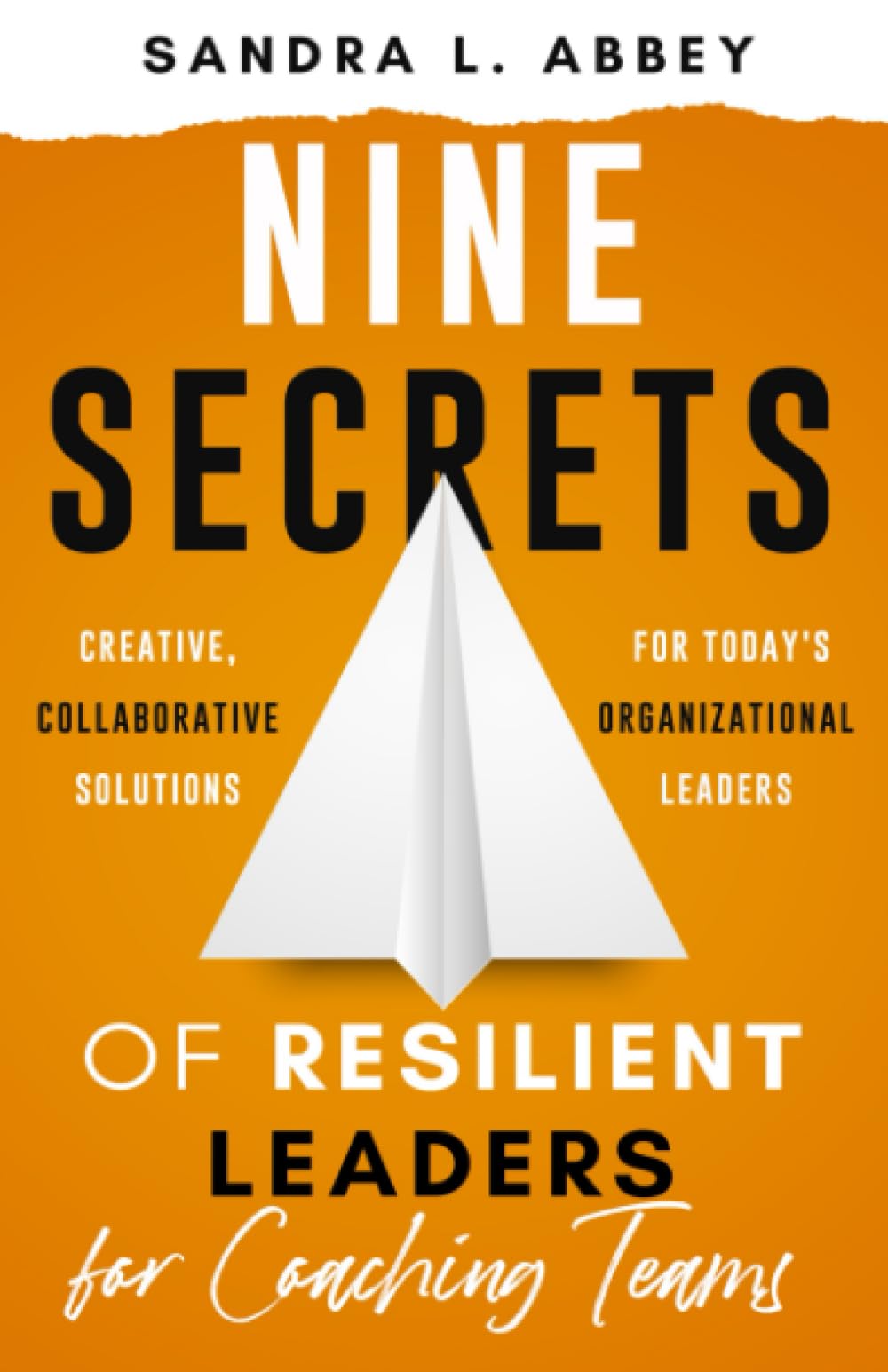 Nine Secrets of Resilient Leaders for Coaching Teams: Creative, Collaborative Solutions for Today's Organizational Leaders