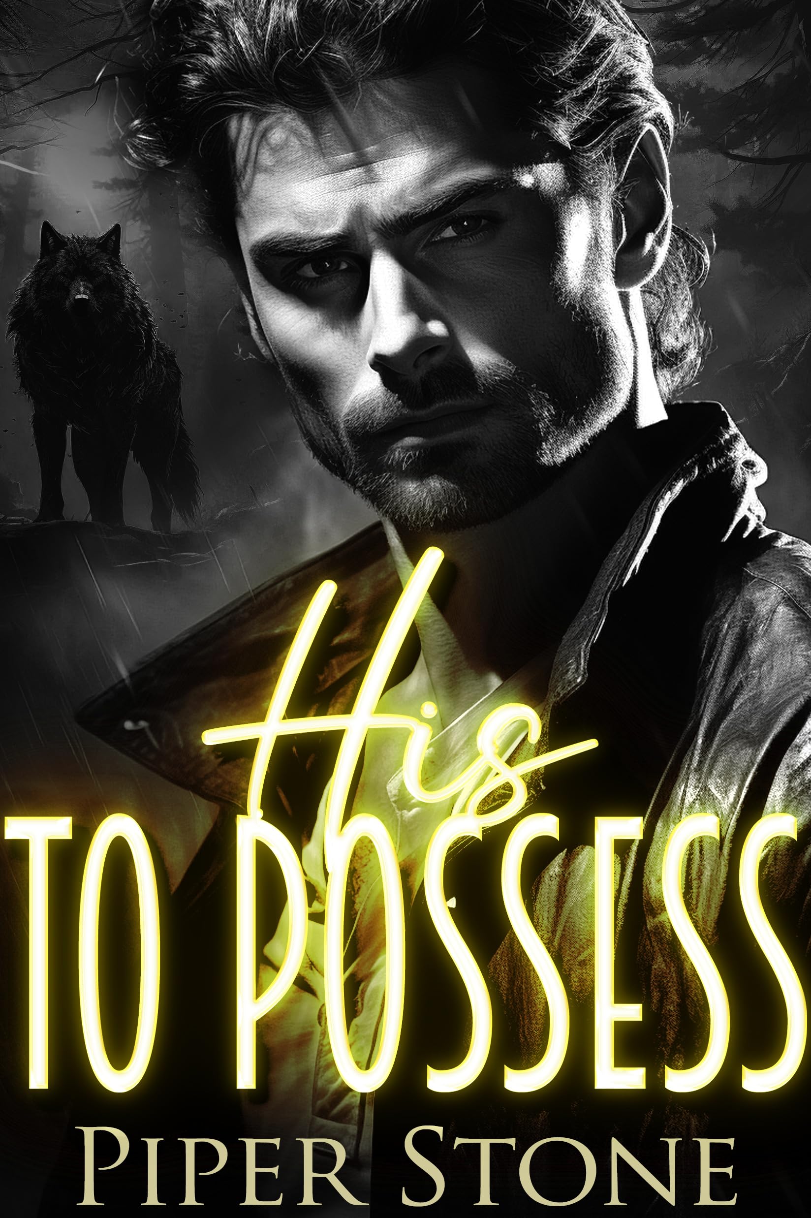 Dark Wolves book cover 2