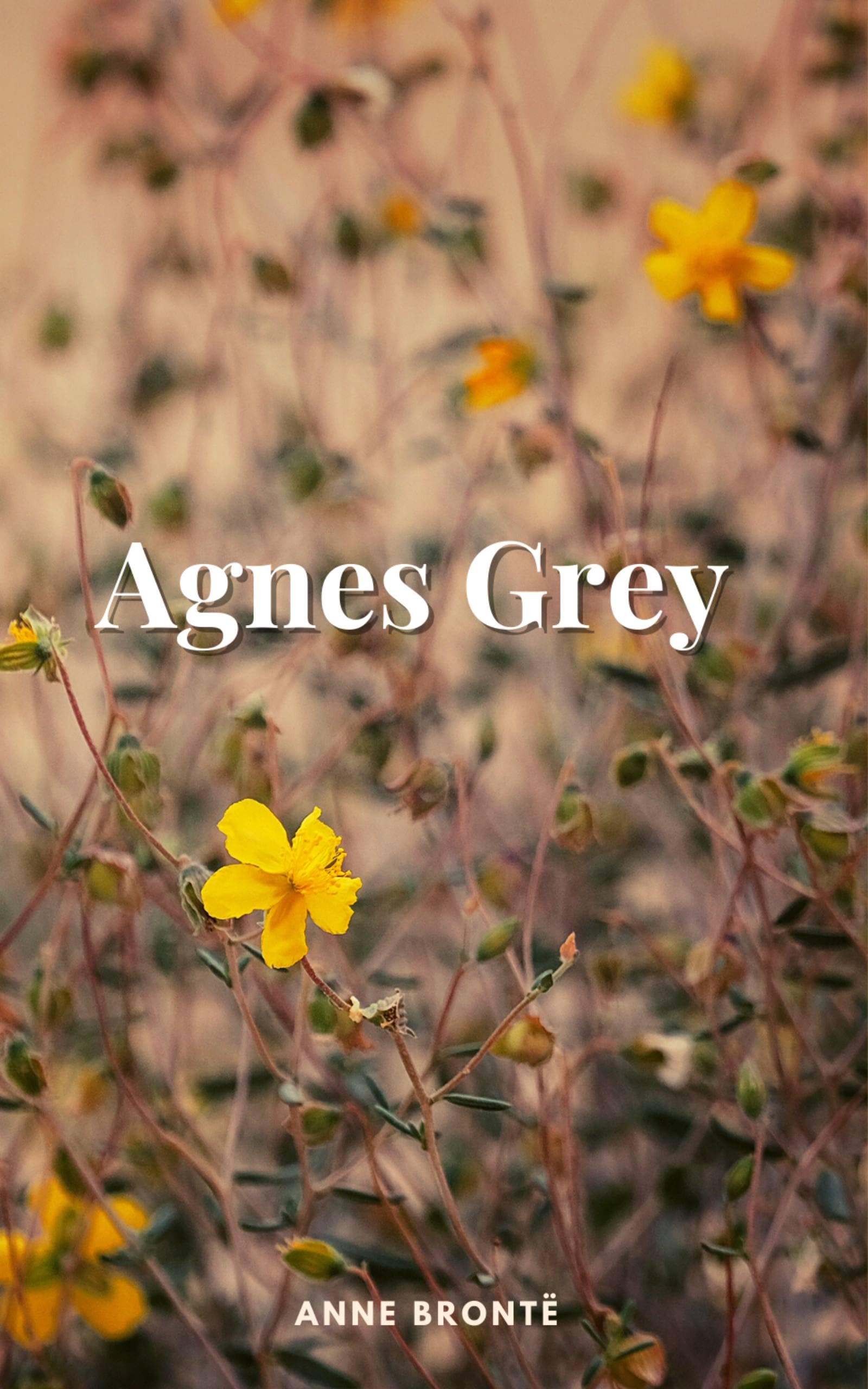 Agnes Grey : 1847 Tales of Female Governess in Victorian England by ...