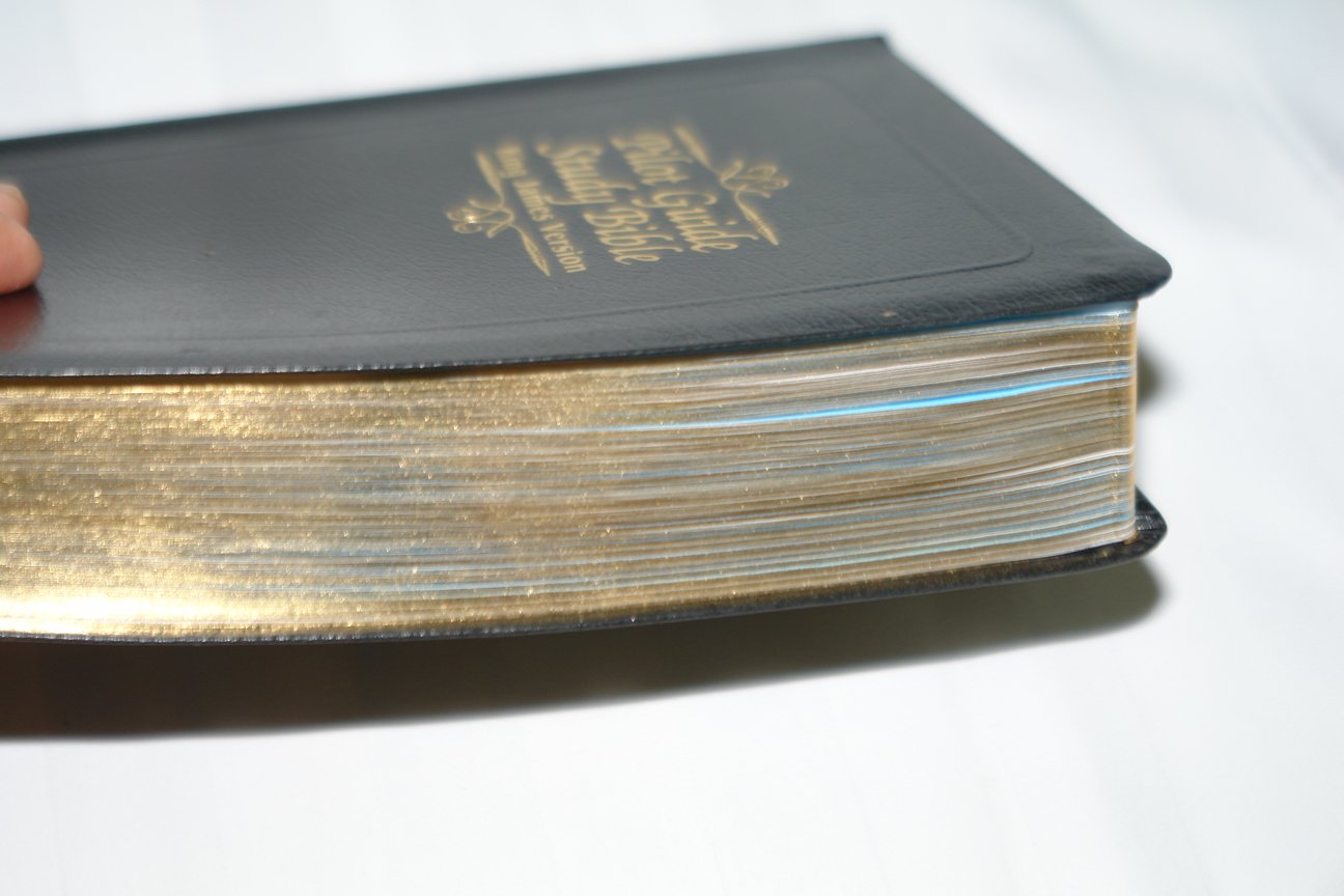 Pilot Guide Study Bible / King James Version KJV / Large Print, Black ...