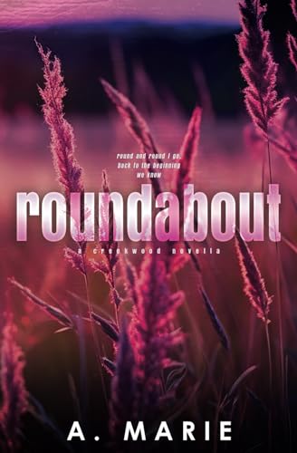 Roundabout book cover