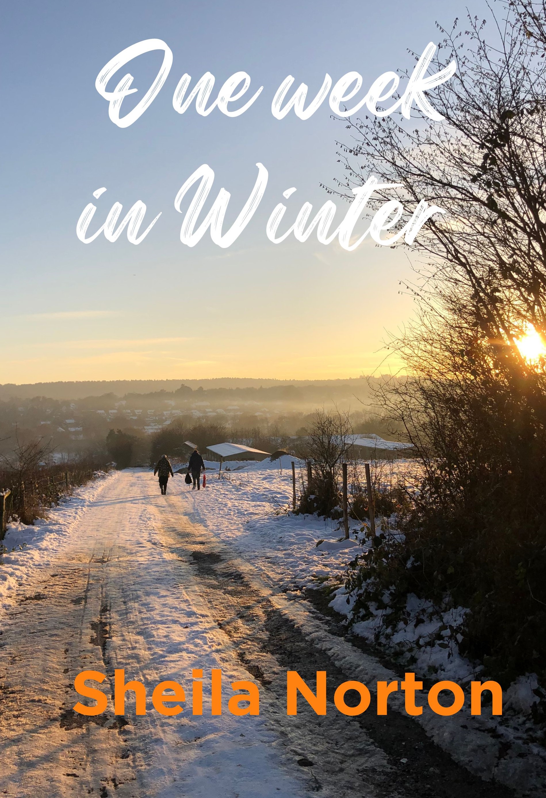 One Week in Winter