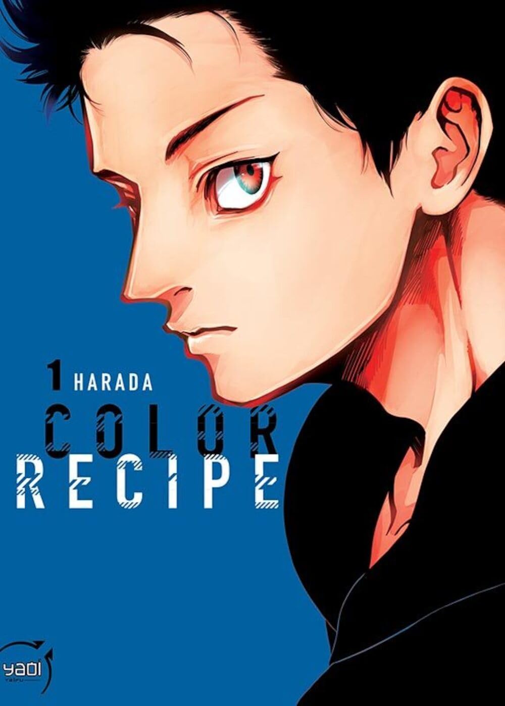 Color Recipe, Tome 1