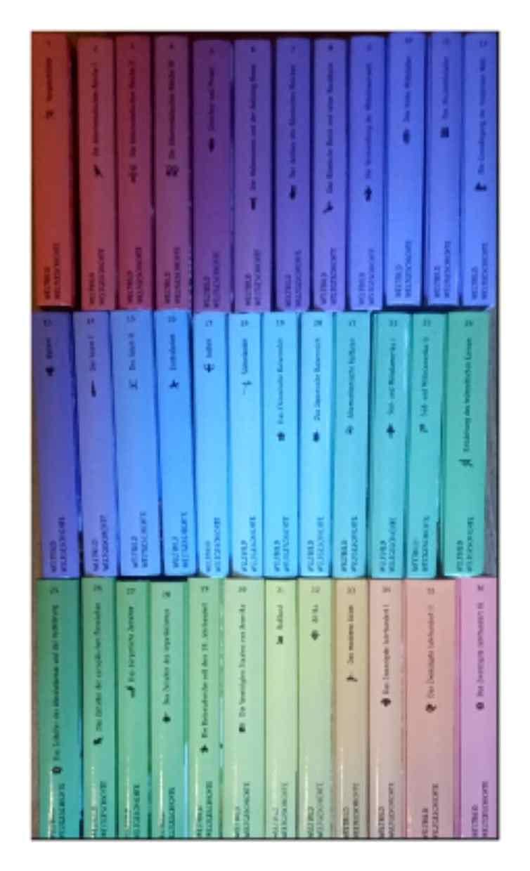 Weltgeschichte book cover