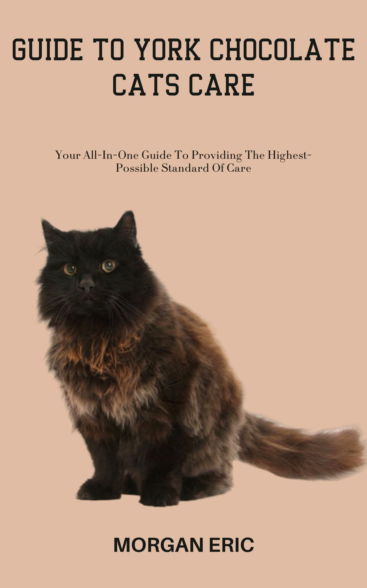 GUIDE TO YORK CHOCOLATE CATS CARE Your AllInOne Guide To Providing