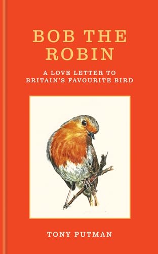 Bob the Robin: A love letter to Britain’s favourite bird