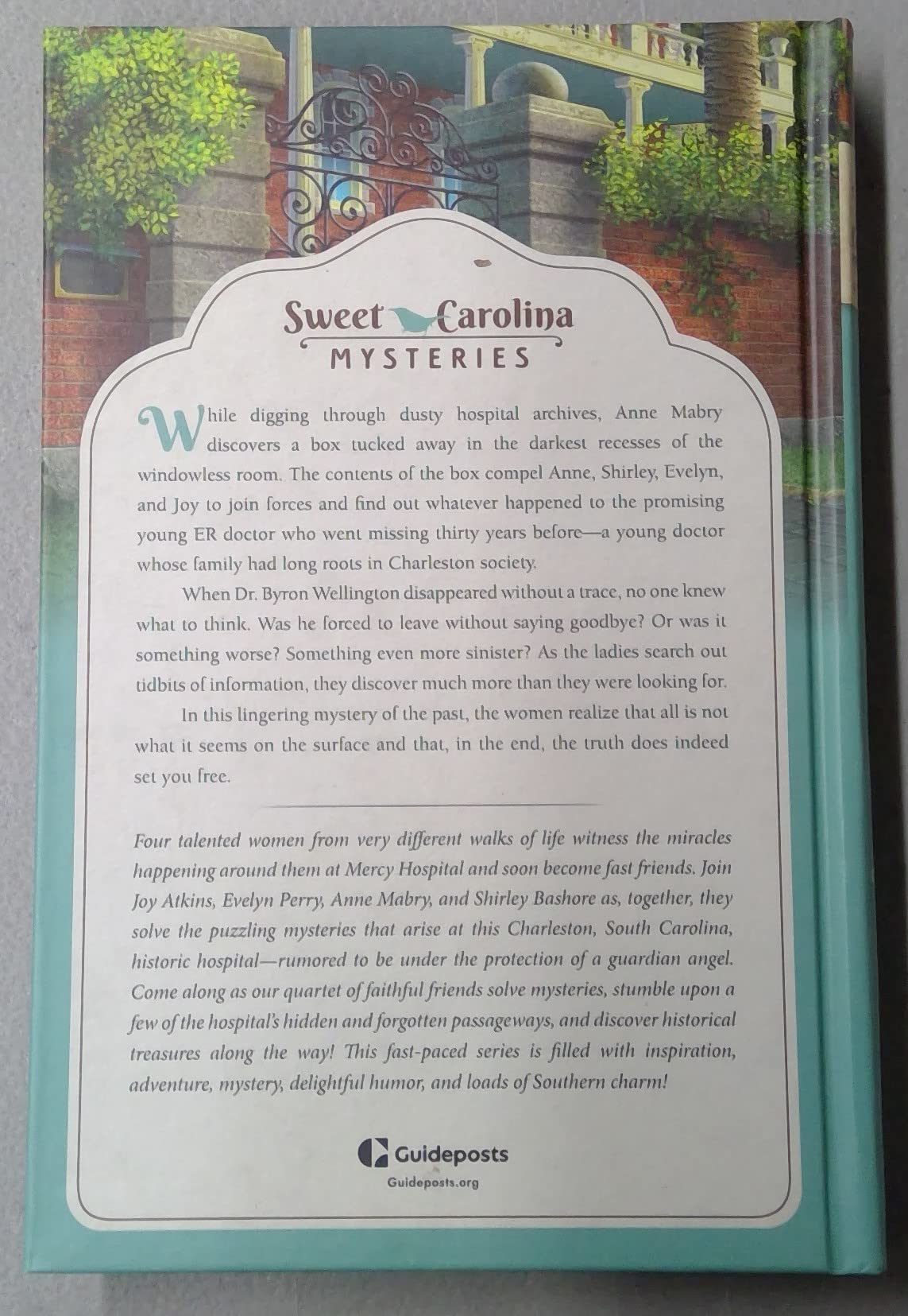 Picture-Perfect Mystery - Sweet Carolina Mysteries