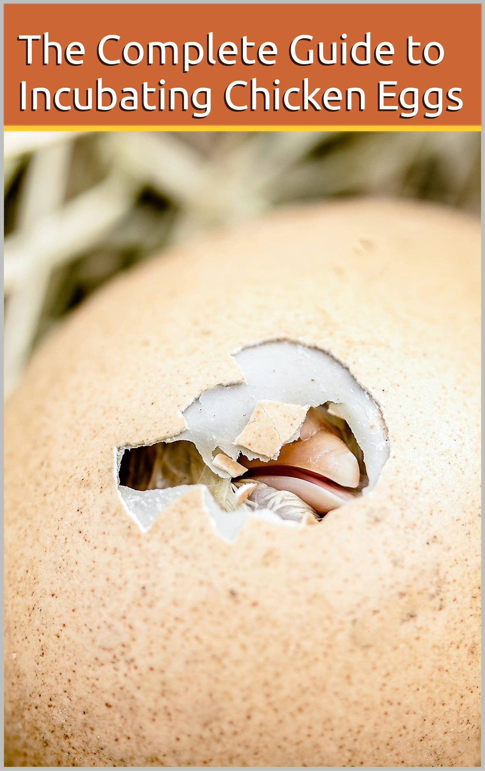 The Complete Guide to Incubating Chicken Eggs by C. Hunt Goodreads