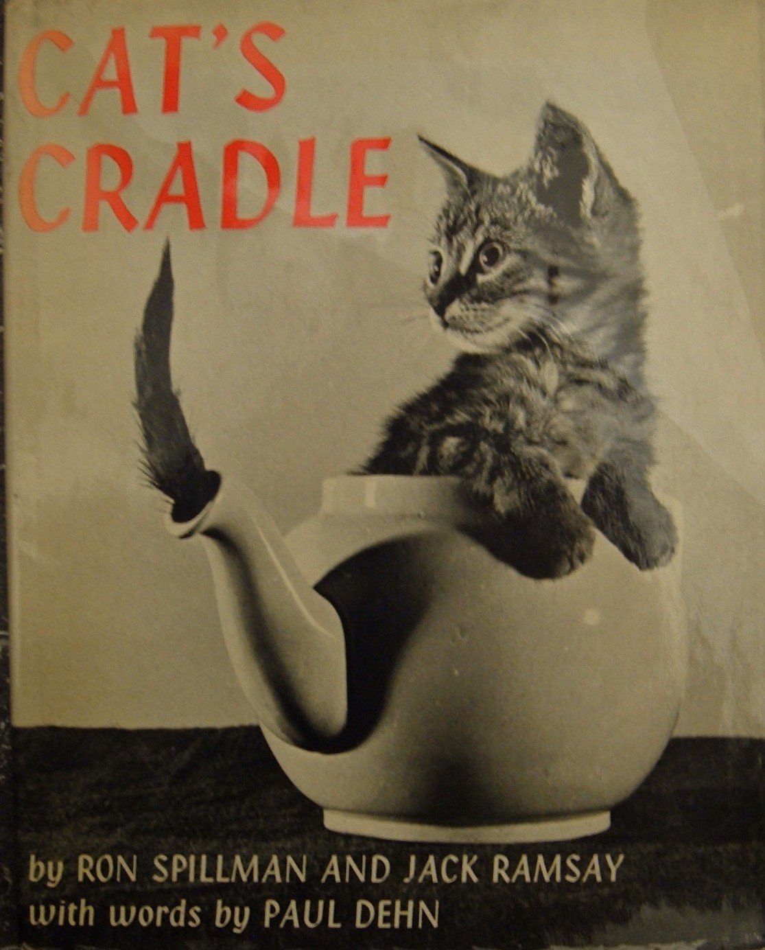 Catcradle by Clare Curzon | Goodreads