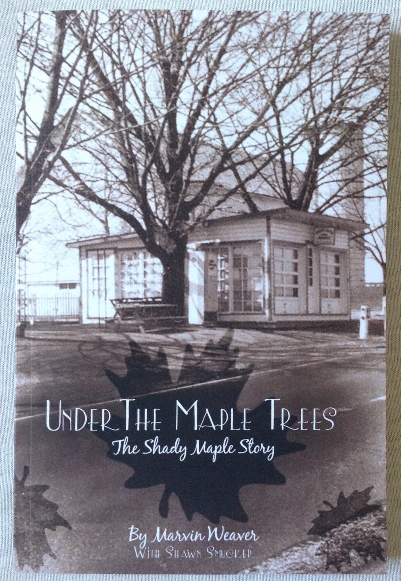 Under the Maple Trees