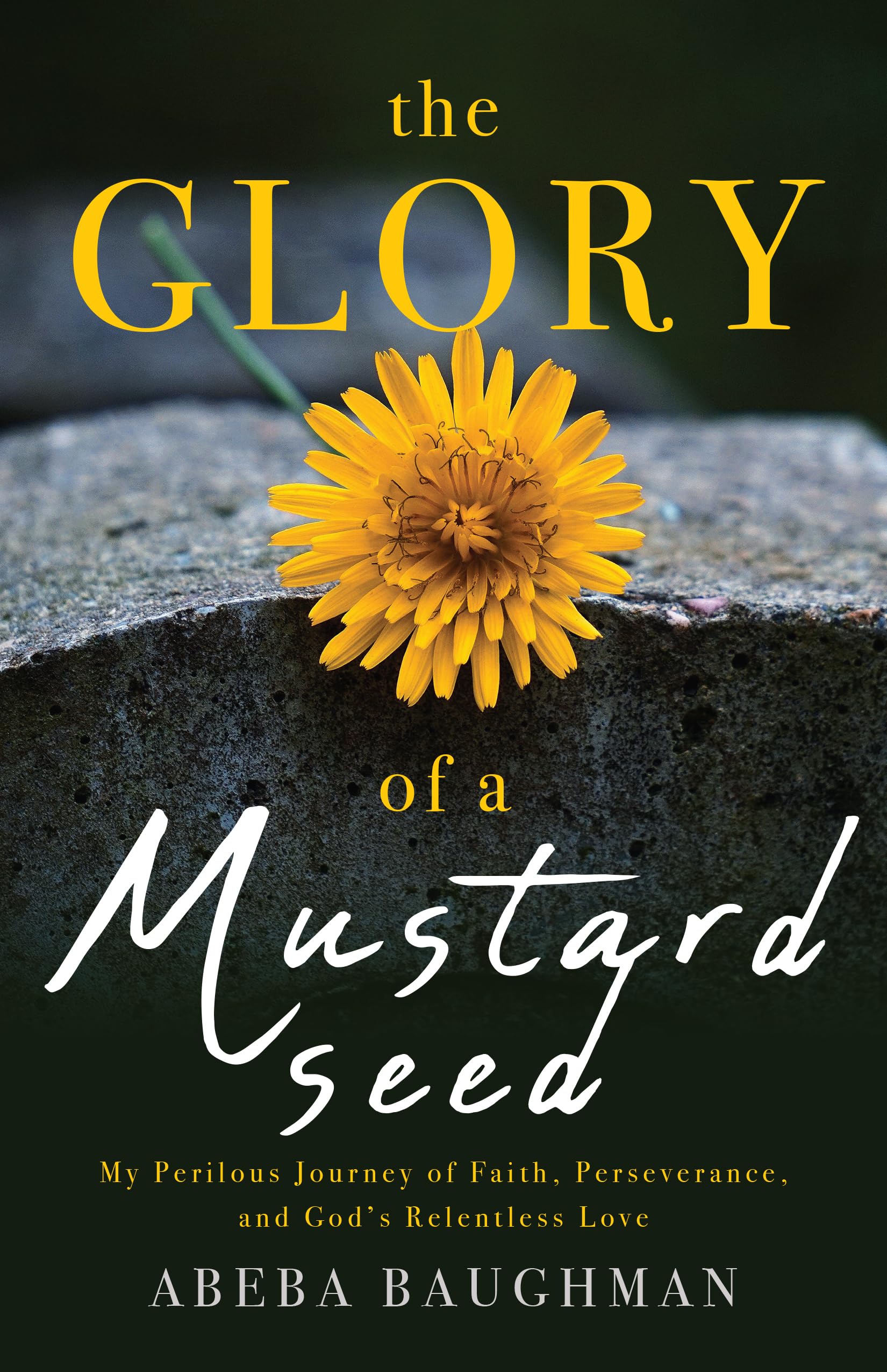 Loriy Glory: The Power Of Perseverance - ag67bhu