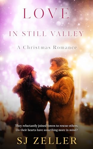 Love in Still Valley: A Christmas Romance