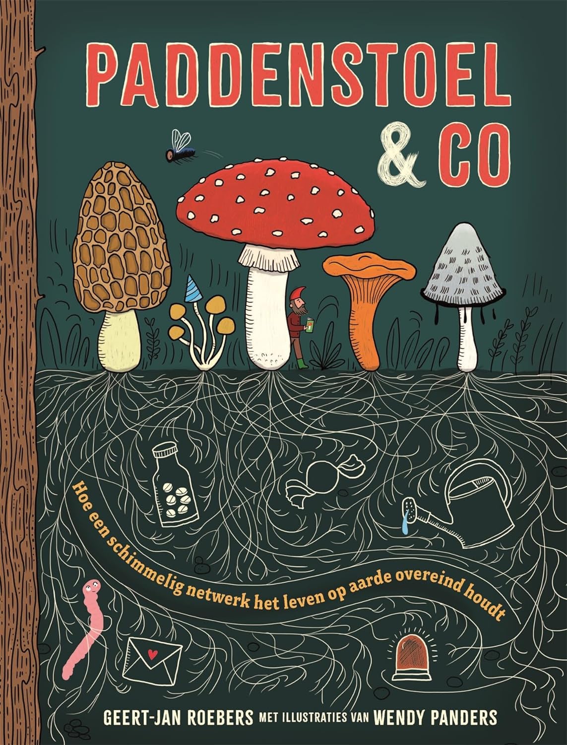 Paddenstoel & co: hoe een schimmelig netwerk het leven op aarde overeind houdt