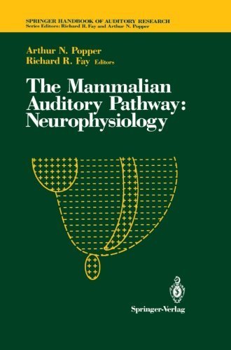 The Mammalian Auditory Pathway: Neurophysiology (Springer Handbook of ...