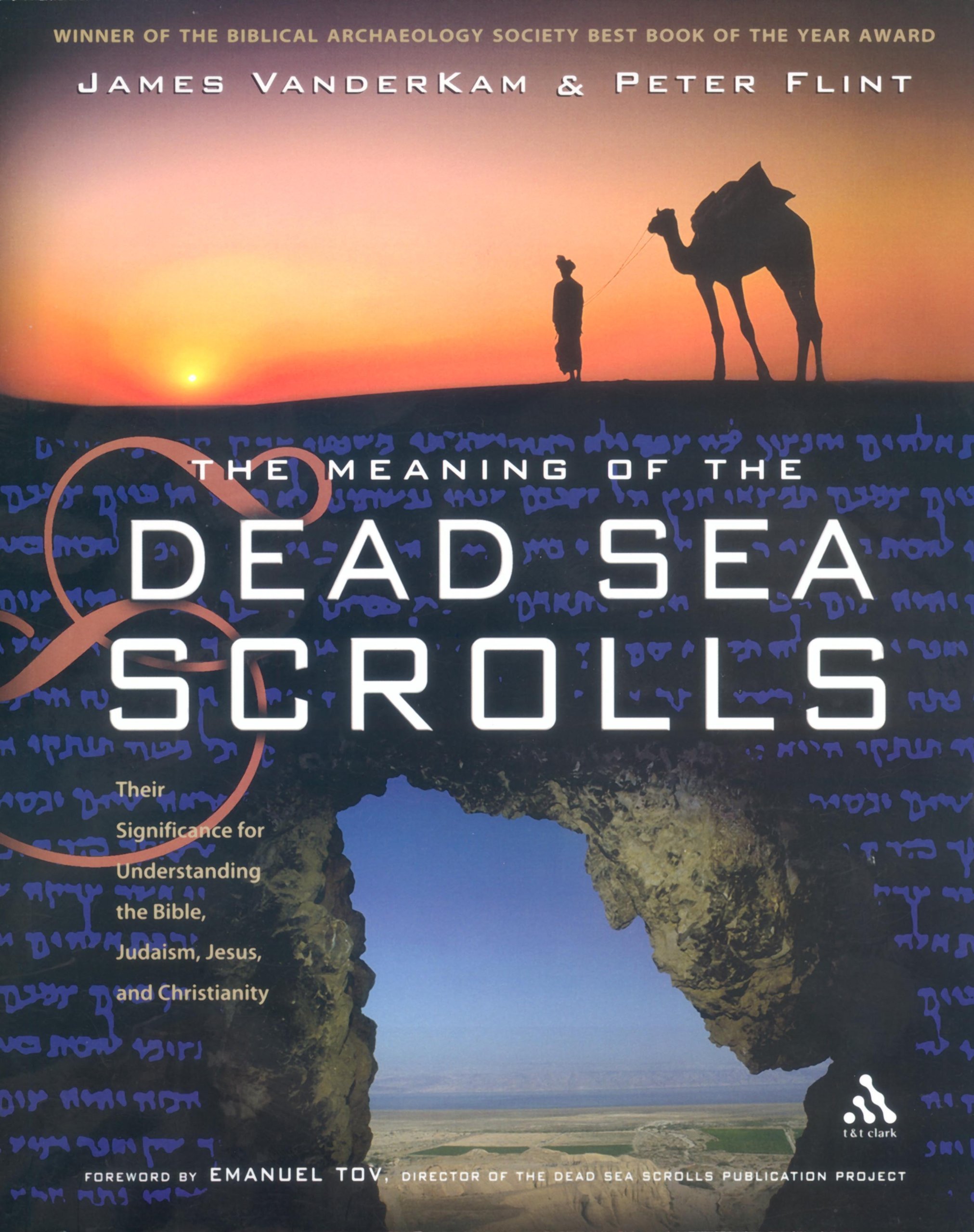 The Meaning of the Dead Sea Scrolls 12 by James C. VanderKam (24Feb2005) Paperback by James C