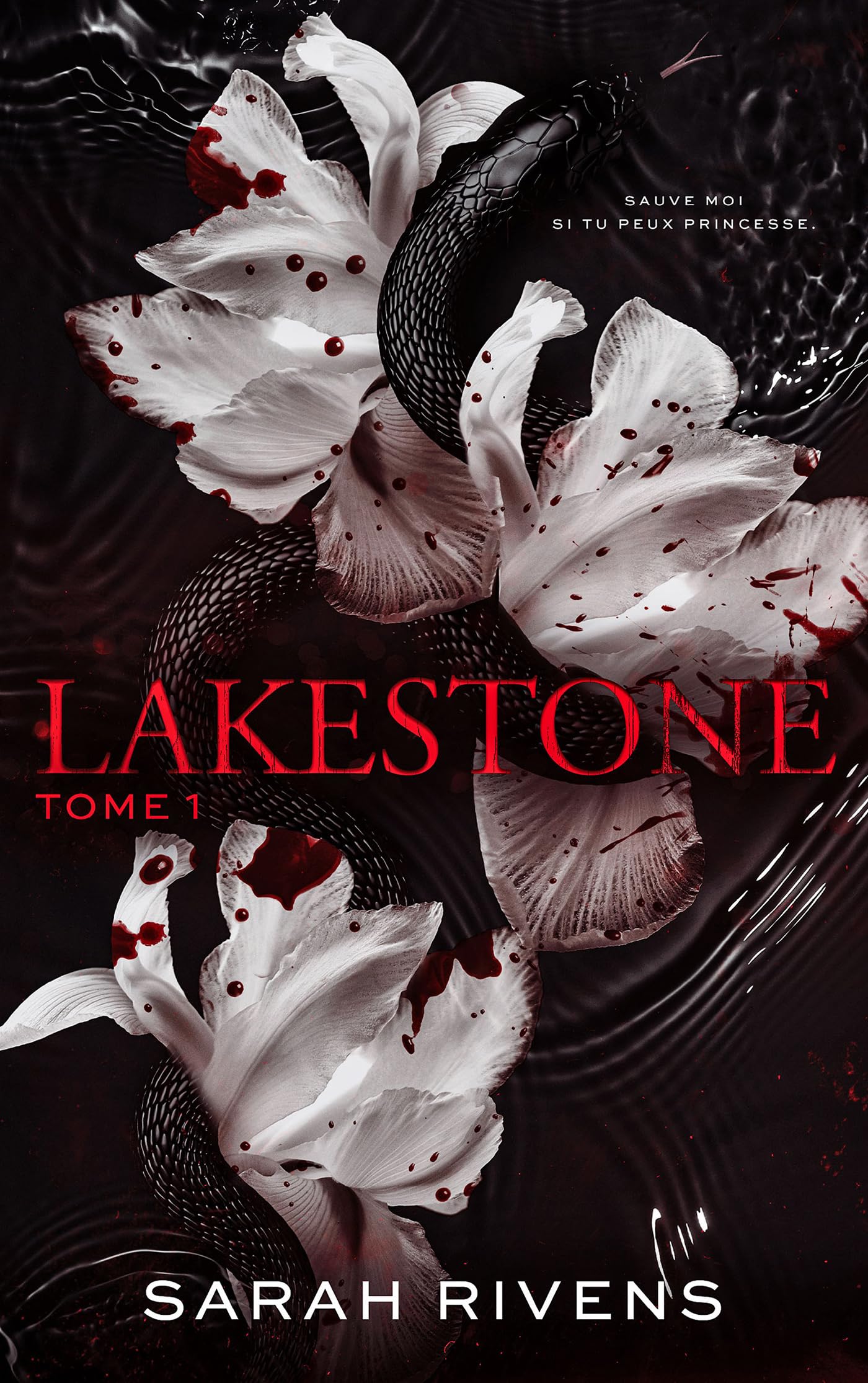 Lakestone - tome 1 (French Edition)