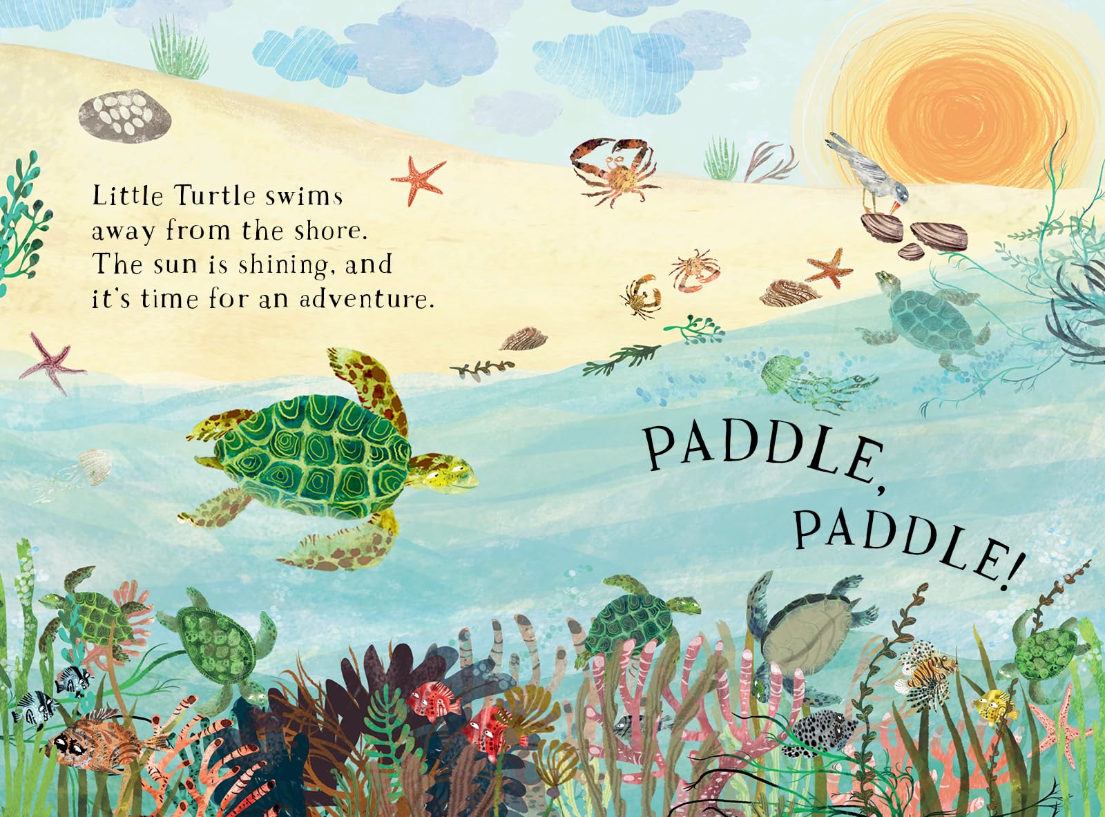 Little Turtle s Book Of The Blue By Yuval Zommer Goodreads Little Turtle s Book Of The Blue By Yuval Zommer Goodreads